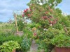 Bild 15
