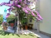 Image 30 - Outside
