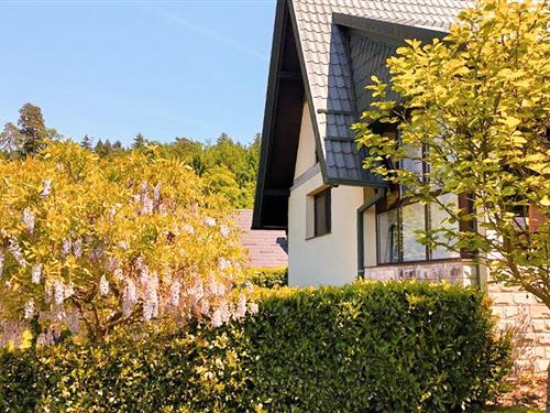 Sommerhus - 3 personer -  - Trakoscan - 42253 - Trakoscan