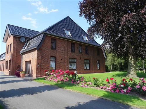 Ferienhaus - 2 Personen -  - Dorfstraße - 25361 - Elskop