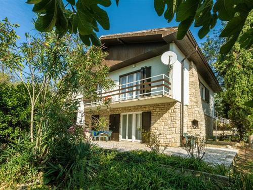 Holiday apartment - 3 persons -  - Paredine - 52100 - Premantura