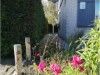 Bilde 4