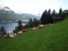 Bild 20