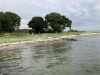 Billede 38