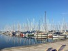 Billede 26