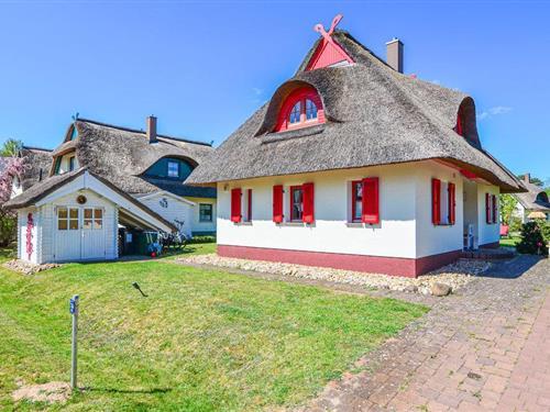 Sommerhus - 4 personer -  - Sturmmöwe, Luisenaue - 15864 - Wendisch-Rietz