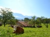 Billede 6