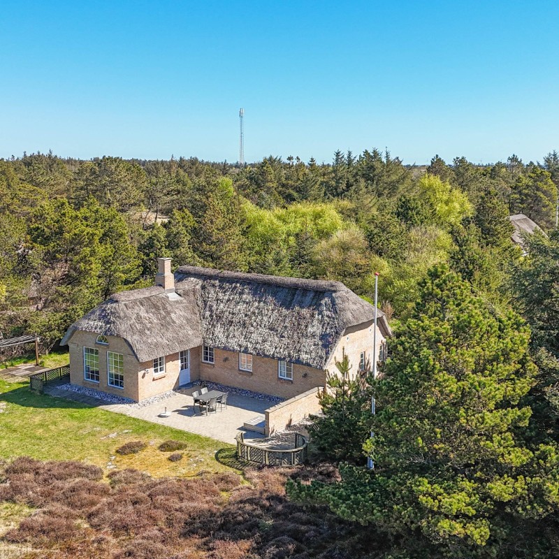 Ferienhaus - 4 Personen -  - Illeborgvej - Fjand - 6990 - Ulfborg