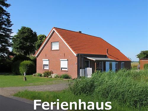 Sommerhus - 6 personer -  - Ditzumerhammrich - 26844 - Ditzum