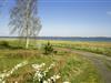 Billede 28 - Grund