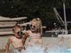 Bild 22