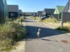 Bild 22