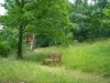 Bild 17