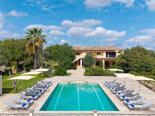 Holiday apartment - 26 persons -  - PM 322 Petra > San Joan - 07520 - Petra