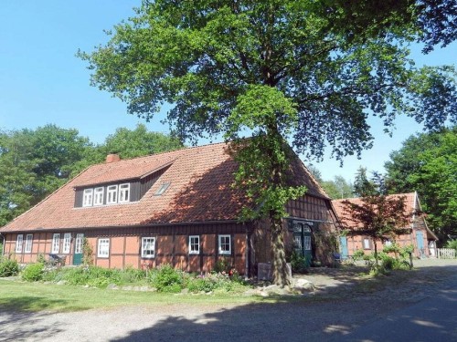 Sommerhus - 4 personer -  - 28879 - Grasberg
