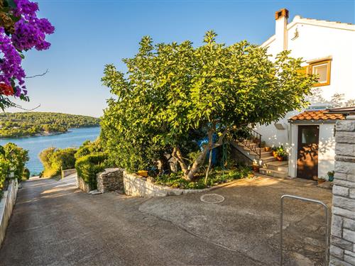 Ferielejlighed - 4 personer -  - Ribarska 16, Necujam - 21430 - Grohote