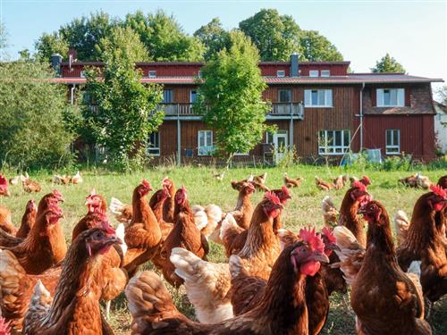 Bondgård - 6 personer -  - Hauptstraße - 19055 - Schwerin