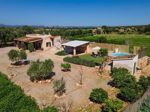 Sommerhus - 2 personer -  - Diseminado Son Coves - 07630 - Ses Salines