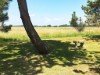 Billede 54 - Ude