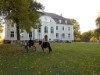Bild 16