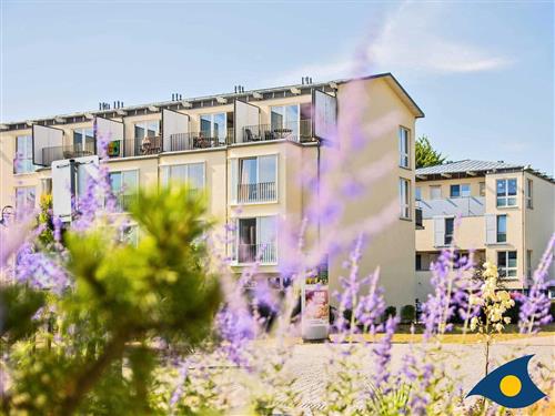 Ferieleilighet - 4 personer -  - Maxim-Gorki-Straße - 17424 - Heringsdorf (Seebad)