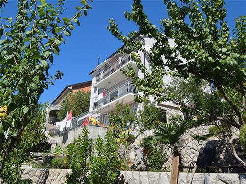 Ferielejlighed - 2 personer -  - Krk/Omišalj - 51513