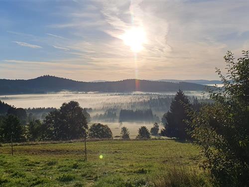 Ferienhaus - 2 Personen -  - Hauptstraße - 94145 - Haidmühle