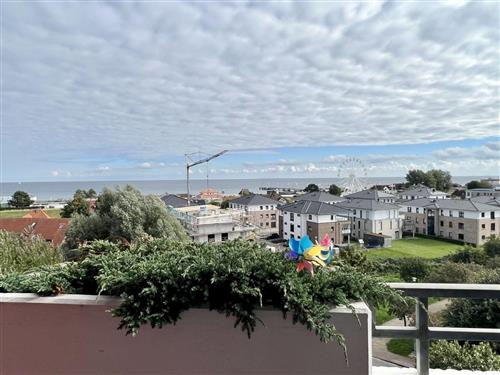 Ferieleilighet - 4 personer -  - Lange Wiese - 23747 - Dahme