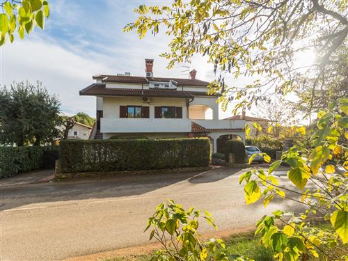 Ferieleilighet - 5 personer -  - Karigador - 52466 - Novigrad