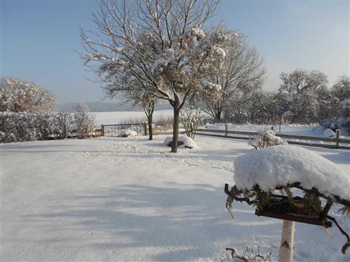 Ferienhaus - 4 Personen -  - Lichtenberger Weg - 17258 - Feldberger Seenlandschaft