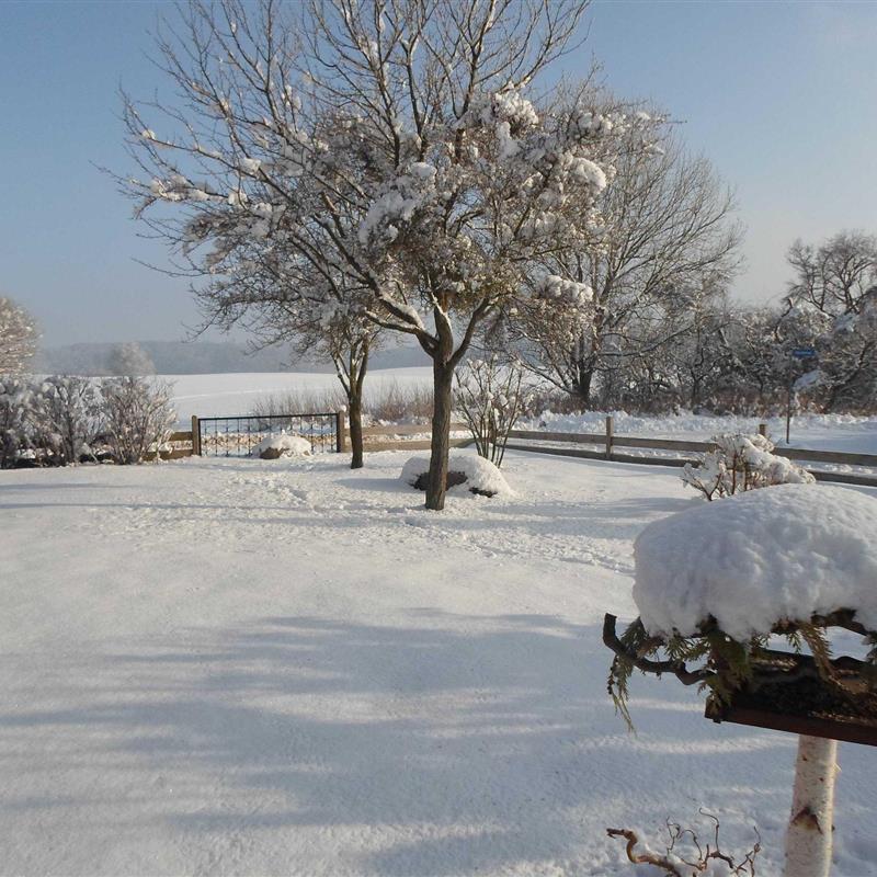 Sommerhus - 4 personer -  - Lichtenberger Weg - 17258 - Feldberger Seenlandschaft