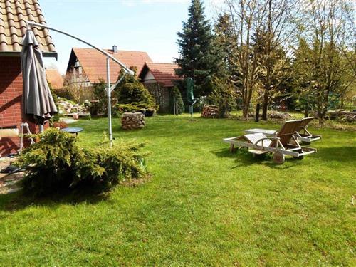 Feriehus - 4 personer -  - Lichtenberger Weg - 17258 - Feldberger Seenlandschaft