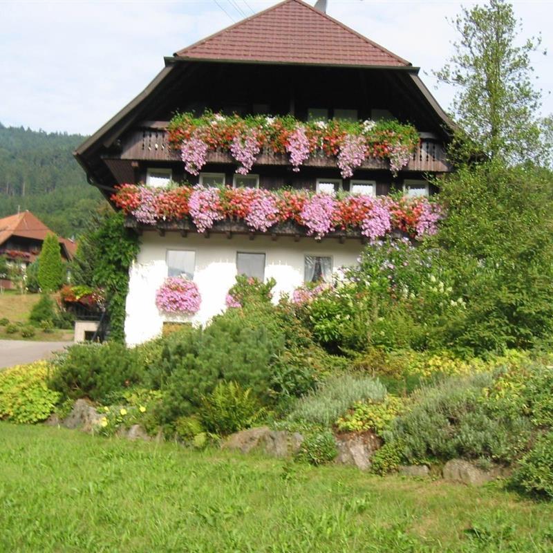 Ferielejlighed - 2 personer -  - Herrenbach - 77793 - Gutach