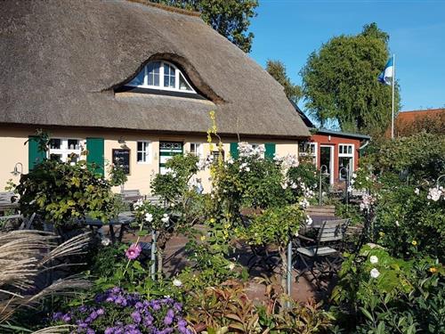 Ferielejlighed - 3 personer -  - Strandstrasse - 18374 - Zingst