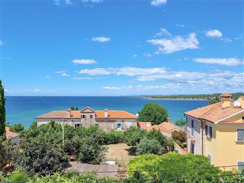 Holiday apartment - 8 persons -  - Buzinija - 52466