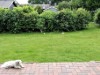 Bild 19