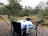 Billede 22 - Terrasse