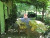 Bilde 2