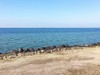 Bild 5 - Ude