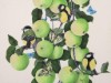 Bild 16
