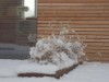 Bild 33 - Aussen