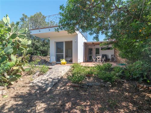 Sommerhus - 8 personer -  - Olbia - 07026