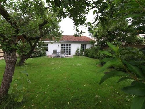 Holiday apartment - 4 persons -  - Mühlenholz - 24392 - Lindau