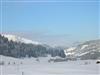 Bilde 6