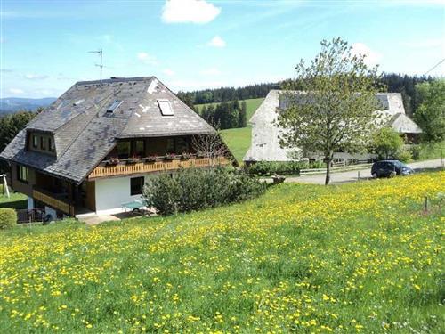 Holiday Home/Apartment - 4 persons -  - Thurner - 79274 - St. Märgen