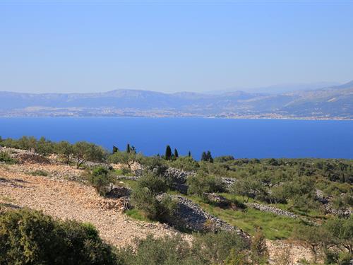 Holiday home - 4 persons -  - Škrip - 21400 - Škrip