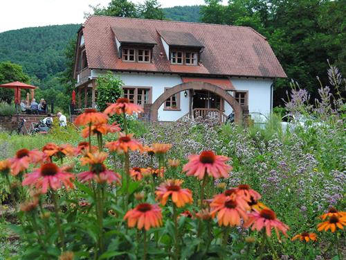 Ferielejlighed - 4 personer -  - 85, rue de la Vallee - 67160 - Wissembourg