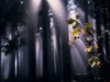 Bild 23