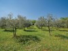 Bild 24