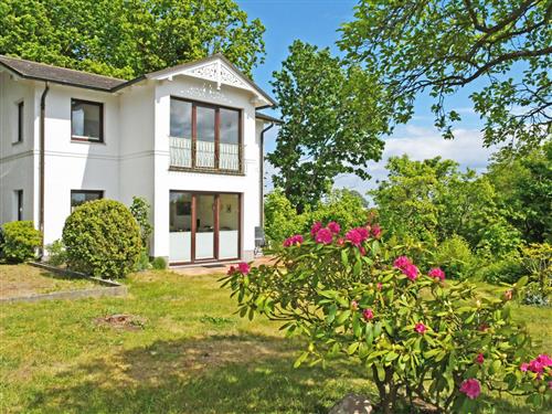 Ferielejlighed - 3 personer -  - Fritz von Pressenthin-Str. - 18586 - Göhren (Ostseebad)